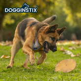 DOGGINSTIX Beef Collagen UFO